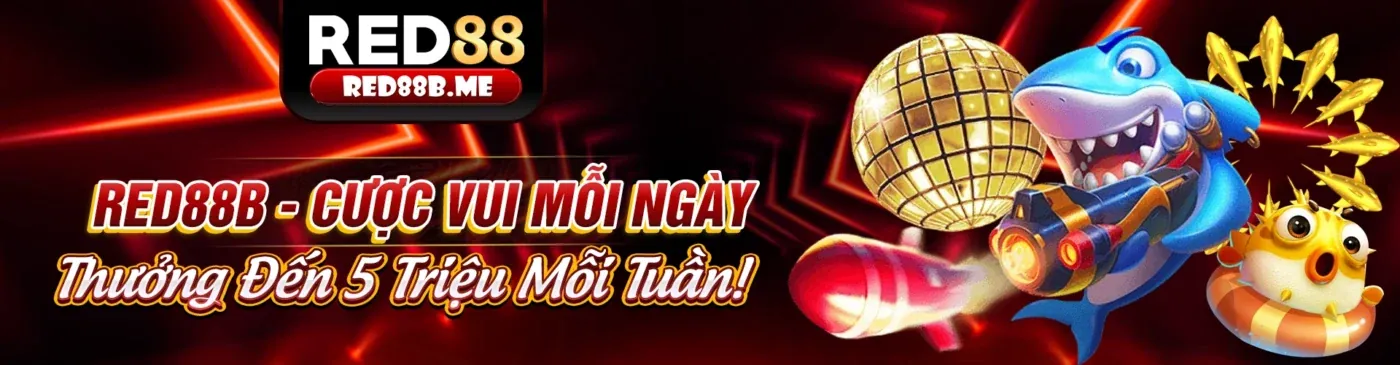 Sòng bạc trực tuyến 8kbet top với bàn roulette và người chia bài trực tiếp