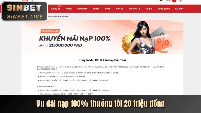 Cấp bậc VIP Đồng tại 8kbet top